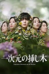 一次元的扦插